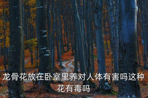 龙骨花图片，求花名花种这是个什么植物有害吗