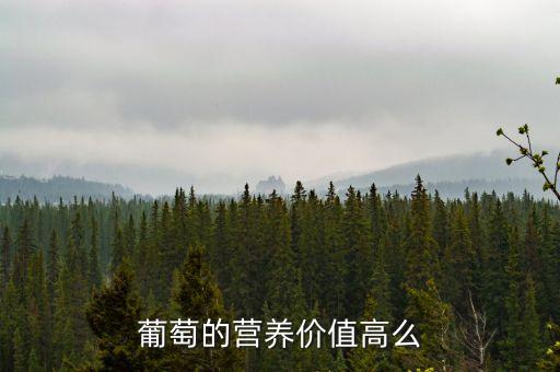 葡萄的营养价值高么