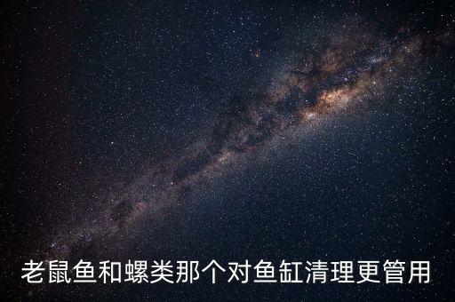 鼠鱼有清缸作用吗，老鼠鱼和螺类那个对鱼缸清理更管用
