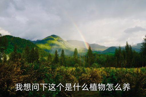我想问下这个是什么植物怎么养
