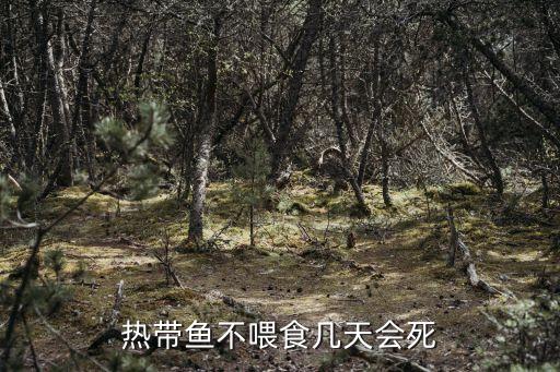 热带鱼不喂食几天会死