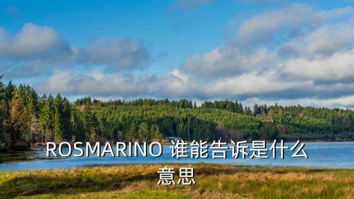 ROSMARINO 谁能告诉是什么意思