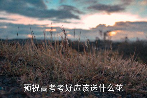 预祝高考考好应该送什么花