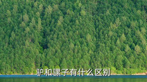 驴和骡子的区别，驴和骡子有什么区别
