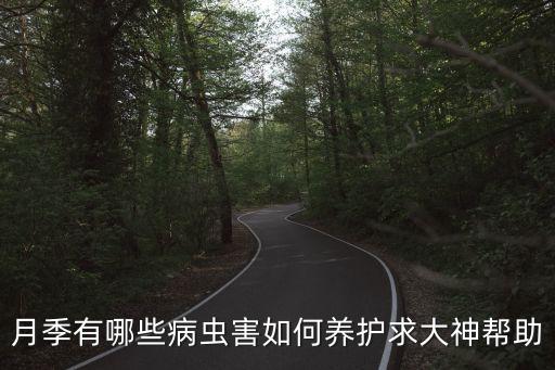 月季病虫害，月季花的病虫防治