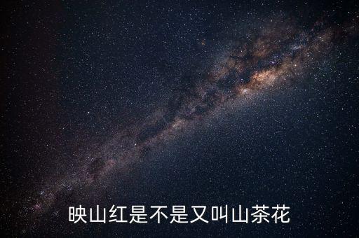 映山红是不是又叫山茶花