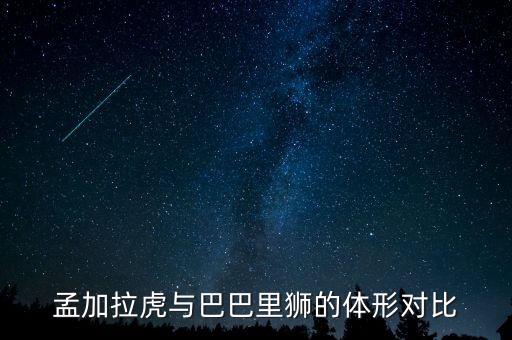 巴巴里狮，还是这是亚洲狮特有的特征开普狮和巴巴里狮怎么分别呢