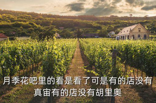 月季花吧里的看是看了可是有的店没有真宙有的店没有胡里奥
