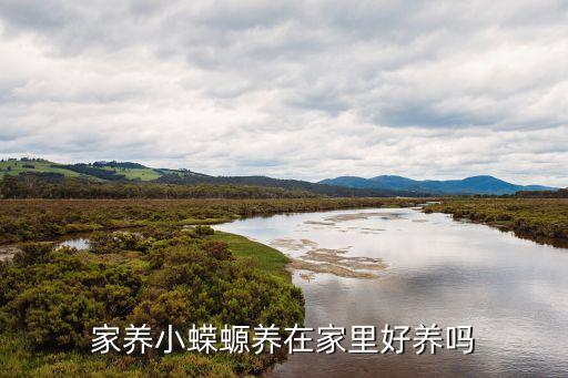蝾螈好养吗，东方蝾螈好养么