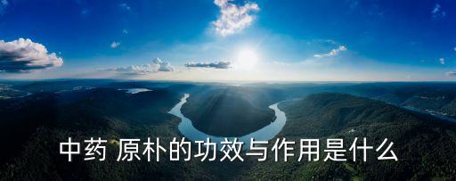 中药 原朴的功效与作用是什么