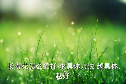 长寿花叶片扦插方法，长寿花用一片叶子要怎么繁殖