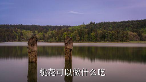 桃花可以做什么吃