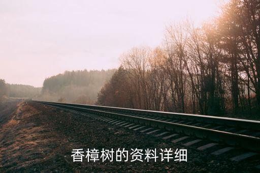 香樟树的资料详细