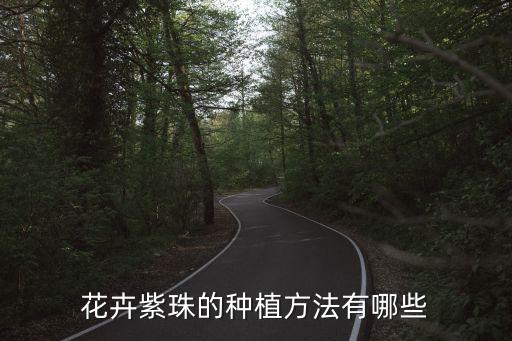 紫珠盆景，紫珠盆景怎么养