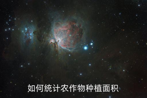 如何统计农作物种植面积