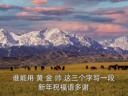 谁能用 黄 金 帅 这三个字写一段新年祝福语多谢