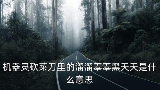 机器灵砍菜刀里的溜溜菶菶黑天天是什么意思