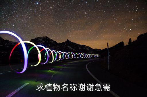 求植物名称谢谢急需