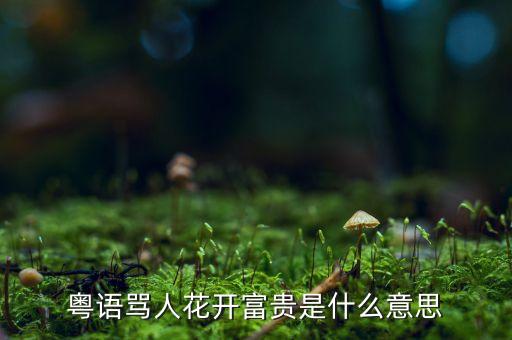 粤语骂人花开富贵是什么意思