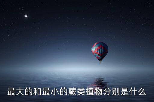 最大的和最小的蕨类植物分别是什么