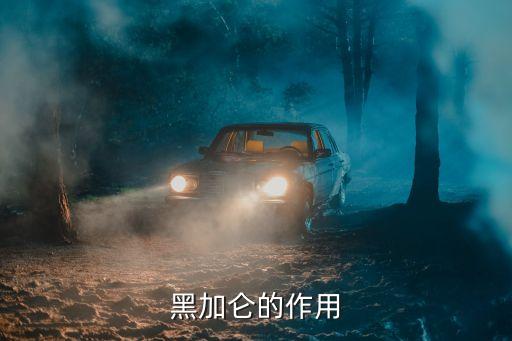 黑加仑的功效与作用，黑加仑的作用