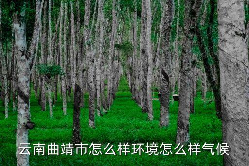 曲靖气候，曲靖夏天闷热吗