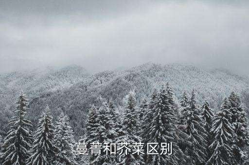 蔓菁和芥菜区别