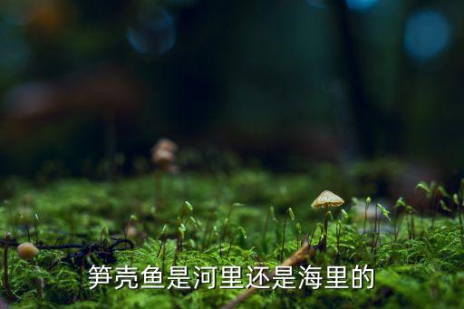 笋壳鱼是河里还是海里的