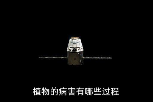 植物的病害有哪些过程
