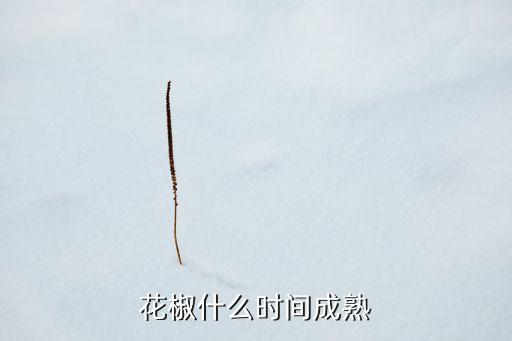 花椒什么时间成熟
