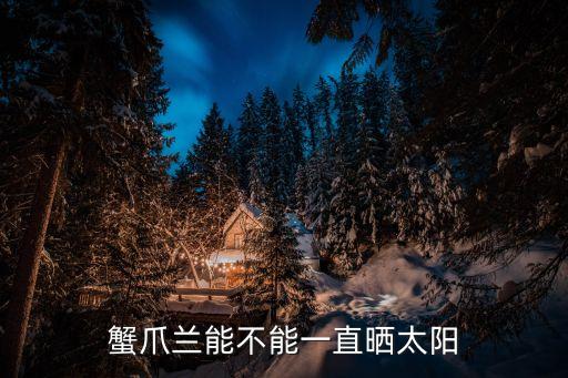 蟹爪兰能不能一直晒太阳