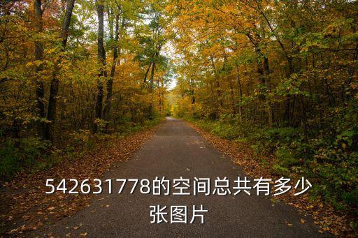 花面狸图片，542631778的空间总共有多少张图片