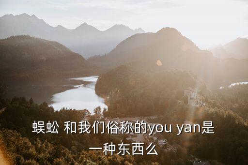蜈蚣 和我们俗称的you yan是一种东西么