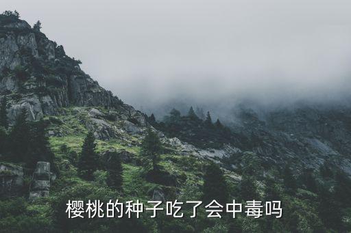 樱桃种子，吃樱桃时的那个籽就是樱桃的种子吗