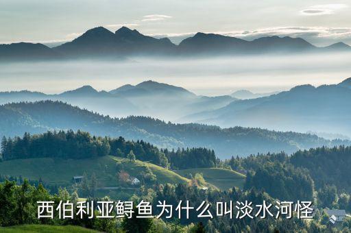 西伯利亚鲟鱼为什么叫淡水河怪