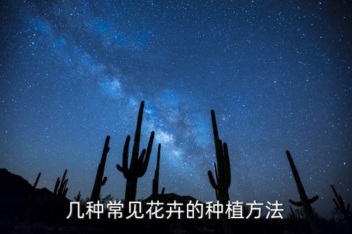 几种常见花卉的种植方法
