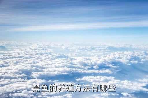 黑鱼的养殖方法有哪些