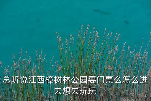 总听说江西樟树林公园要门票么怎么进去想去玩玩