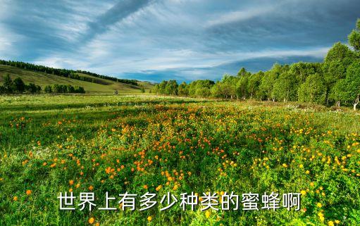 世界上有多少种类的蜜蜂啊