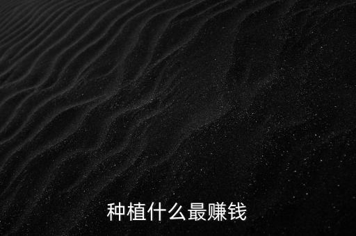 种植什么最赚钱