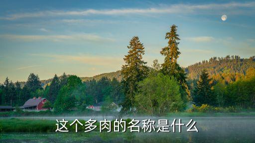 艳日辉多肉，多肉艳日辉是夏型种还是冬型种
