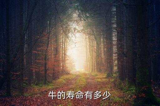 牛的寿命有多少