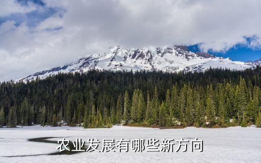 农业发展有哪些新方向