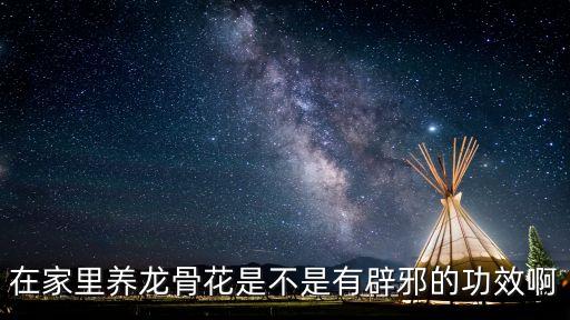 在家里养龙骨花是不是有辟邪的功效啊