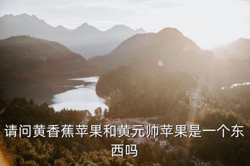 请问黄香蕉苹果和黄元帅苹果是一个东西吗