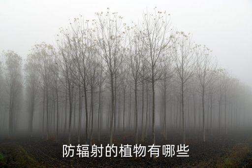 什么植物防辐射，什么植物可以防辐射