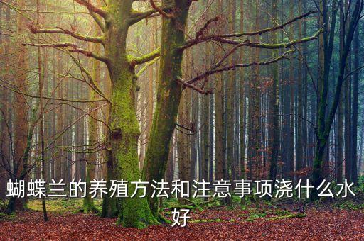 蝴蝶兰怎么养浇水，蝴蝶兰怎么浇水
