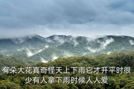 雨伞花，两伞花有害吗