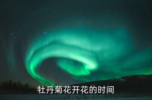 牡丹菊，牡丹菊的花语是什么
