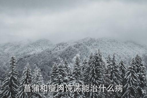 菖蒲和瘦肉饨荡能治什么病